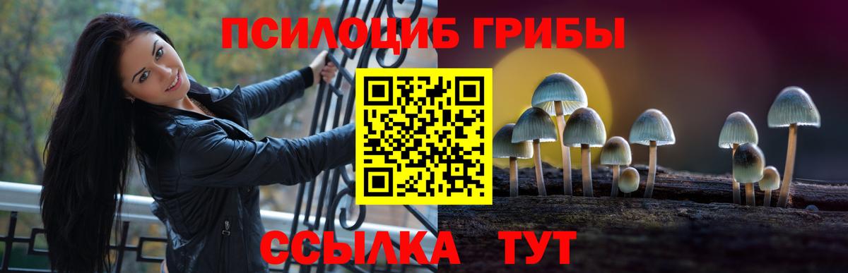 Галлюциногенные грибы мухоморы  Вход с VPN  Волгодонск 